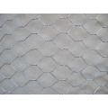 Crab Trap Wire / Hexagonal Hole Shape e Material de Fio de Ferro Galvanizado Hexagonal Wire Mesh